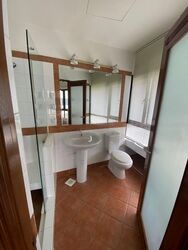 The Draycott (D10), Apartment #435664871